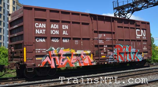 Car/wagon CNA405687 right side / coté droit